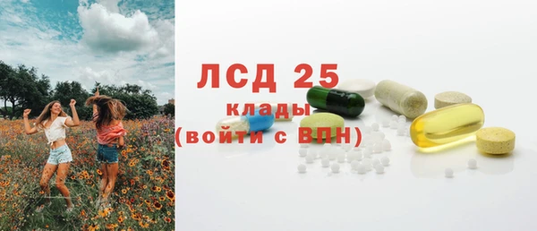 молекула духа Медвежьегорск