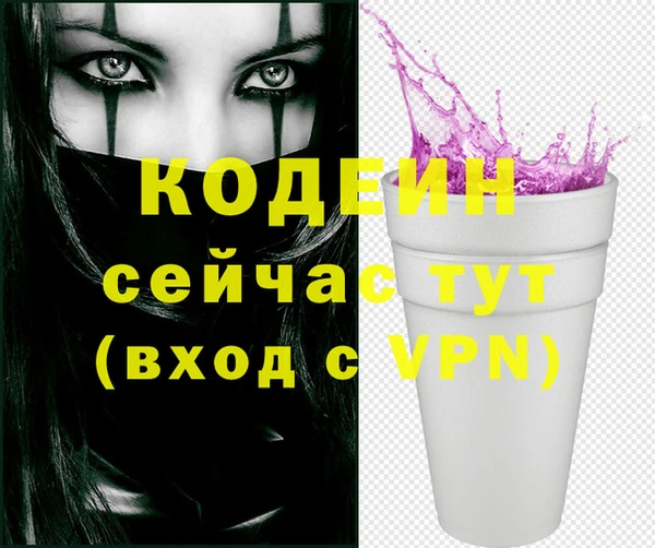 молекула духа Медвежьегорск