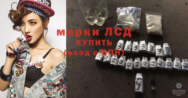 молекула духа Медвежьегорск