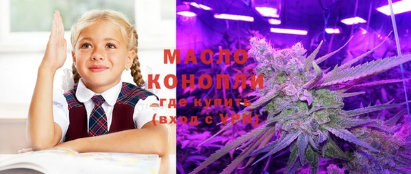 молекула духа Медвежьегорск