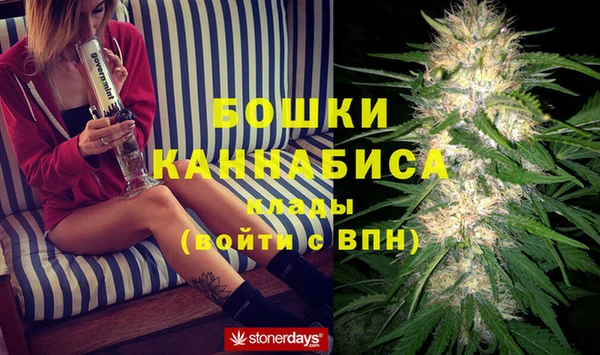 молекула духа Медвежьегорск