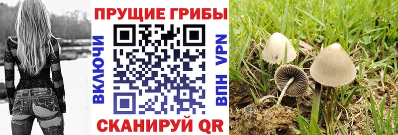 Галлюциногенные грибы мицелий  закладки  Горячеводский 