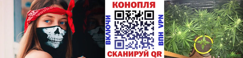 Каннабис марихуана  Горячеводский 